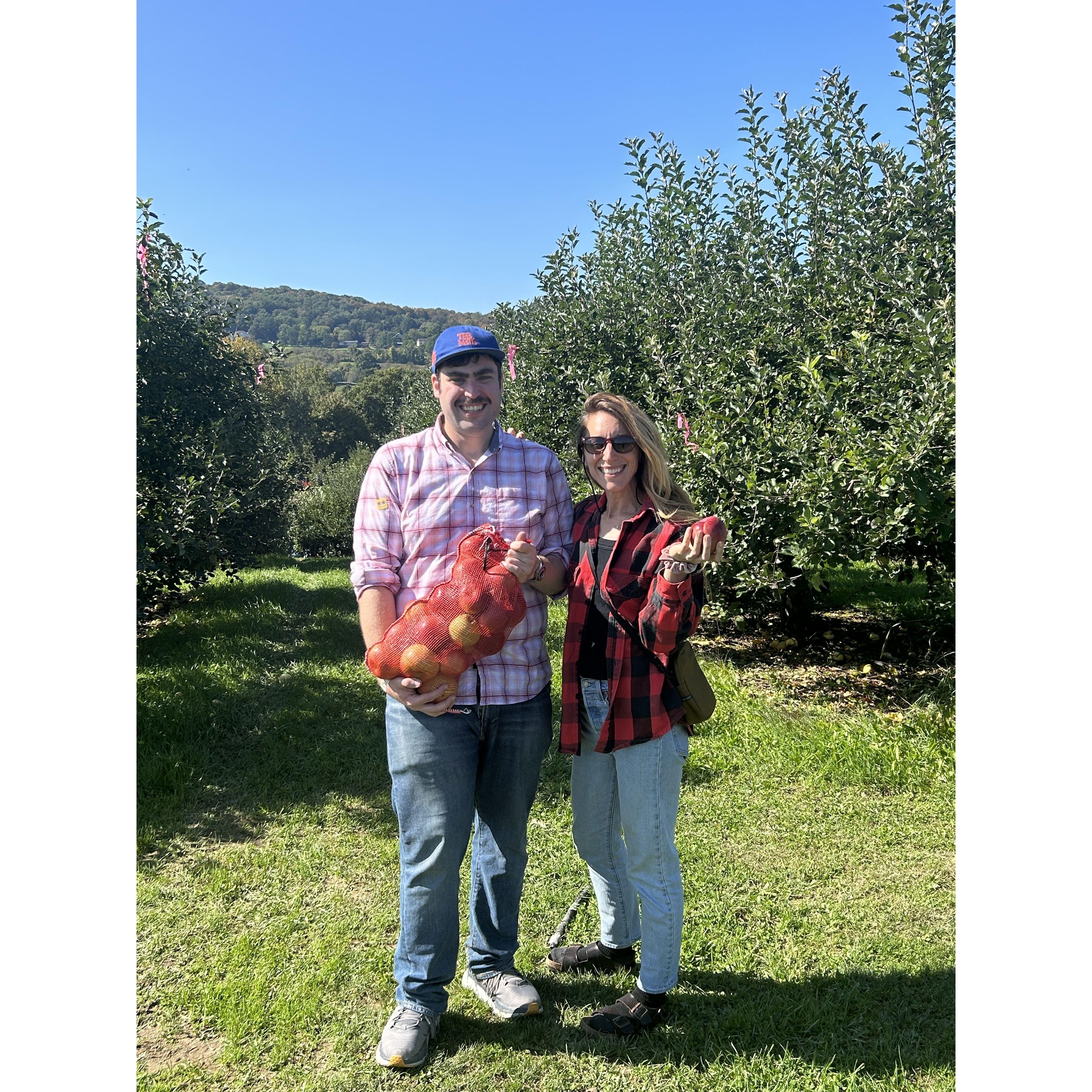 🍎 Apple picking in upstate New York. (2023)