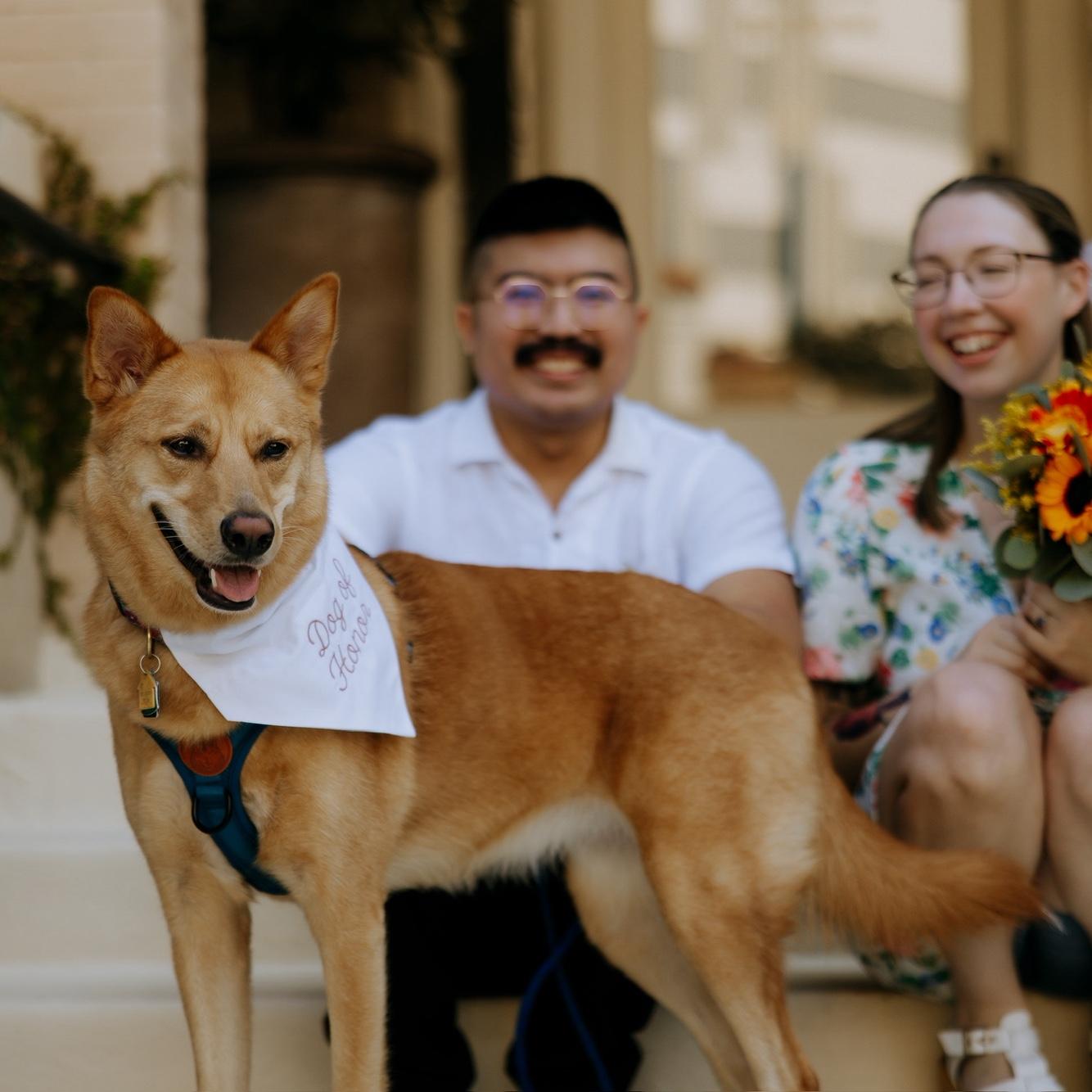 Our Dog of Honor!