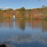 Camp Tecumseh- Disc Golf!