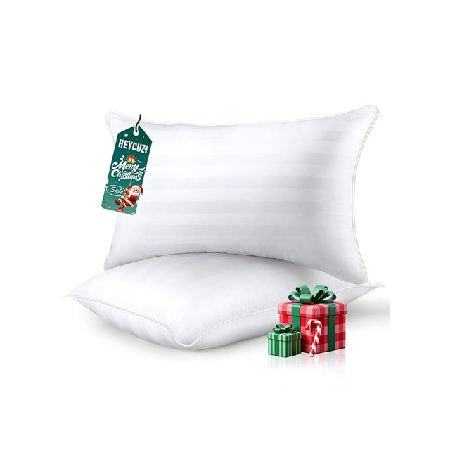 HEYCUZI Queen Size Bed Pillows Set of 2 - Premium Down Alternative Breathable Pillows for Side, Back, and Stomach Sleepers Fluffy Hotel Quality Soft Microfiber Fill Cooling Skin-Friendly