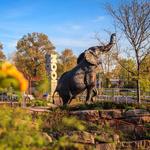 Saint Louis Zoo