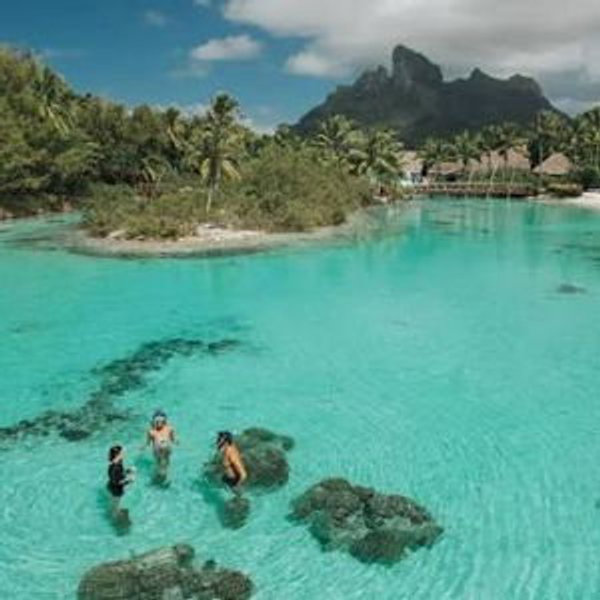 Lagoon Sanctuary Discovery