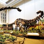 Carnegie Museum of Natural History