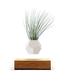 Flyte Lyfe Magnetic Floating Levitating Plant Pot for Plants with Oak wood base (12-Sided Geodesic Silicon Planter)