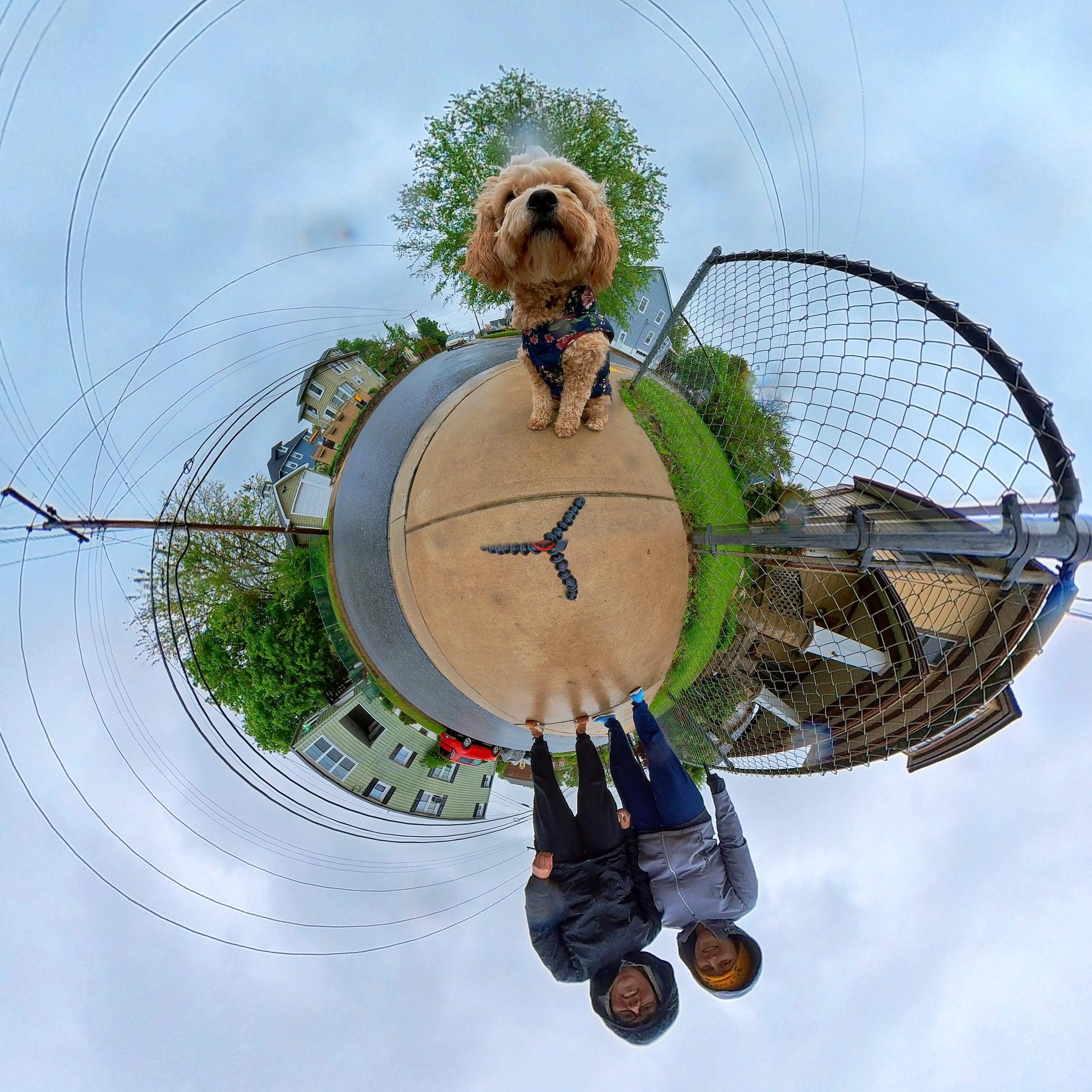 Renada's 360 camera with Cora!