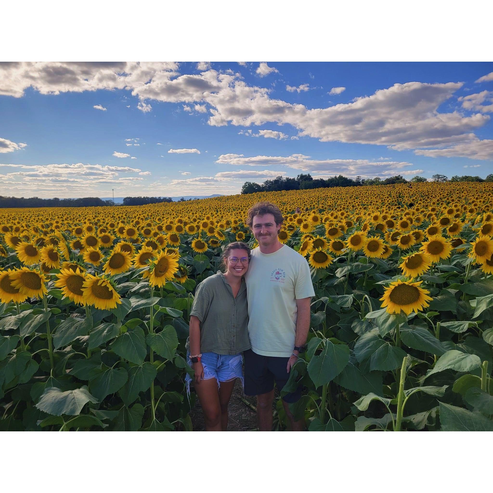 A trip to a sunflower farm following a Labor Day visit in Maryland!