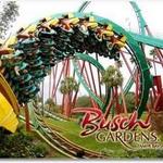 Busch Gardens Tampa Bay