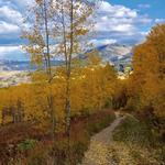Snodgrass Trailhead