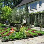 Chanticleer, a pleasure garden