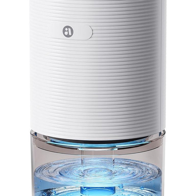 Dehumidifiers for Home, 25oz Dehumidifier for Bedroom with Auto-off, Ultra Quiet Energy Saving for Bathroom Closet Wardrobe Office RV (285sq.ft)