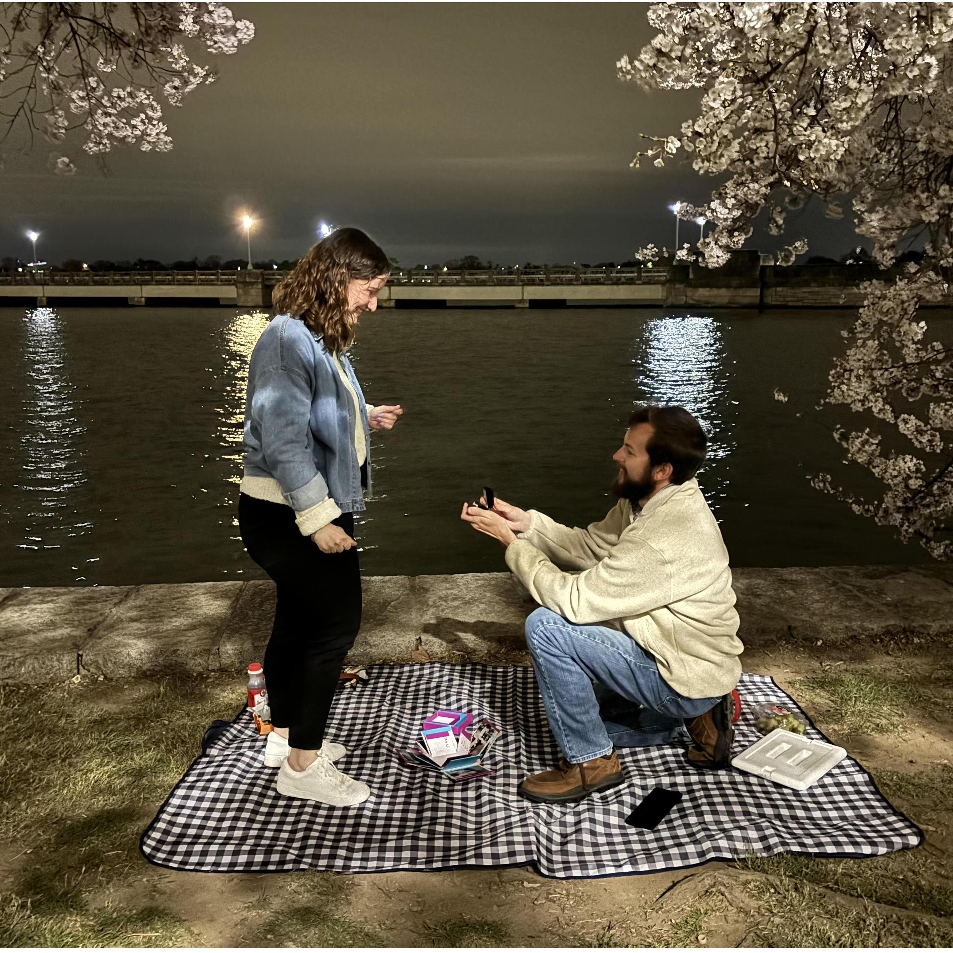 The Proposal