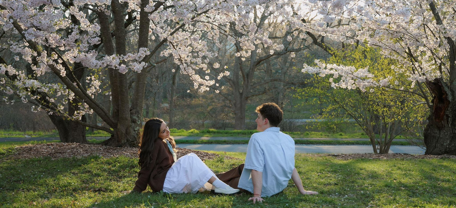 The Wedding Website of Eden Harfield and Lukas Karagiorgos