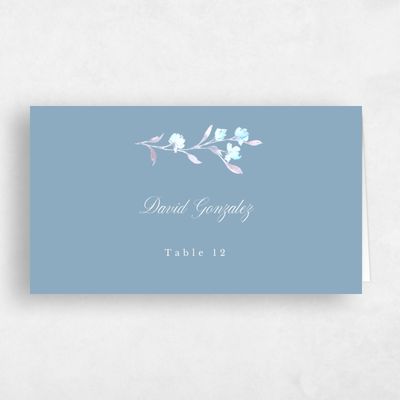 Dusty Blue Wedding Place Card - Bianca