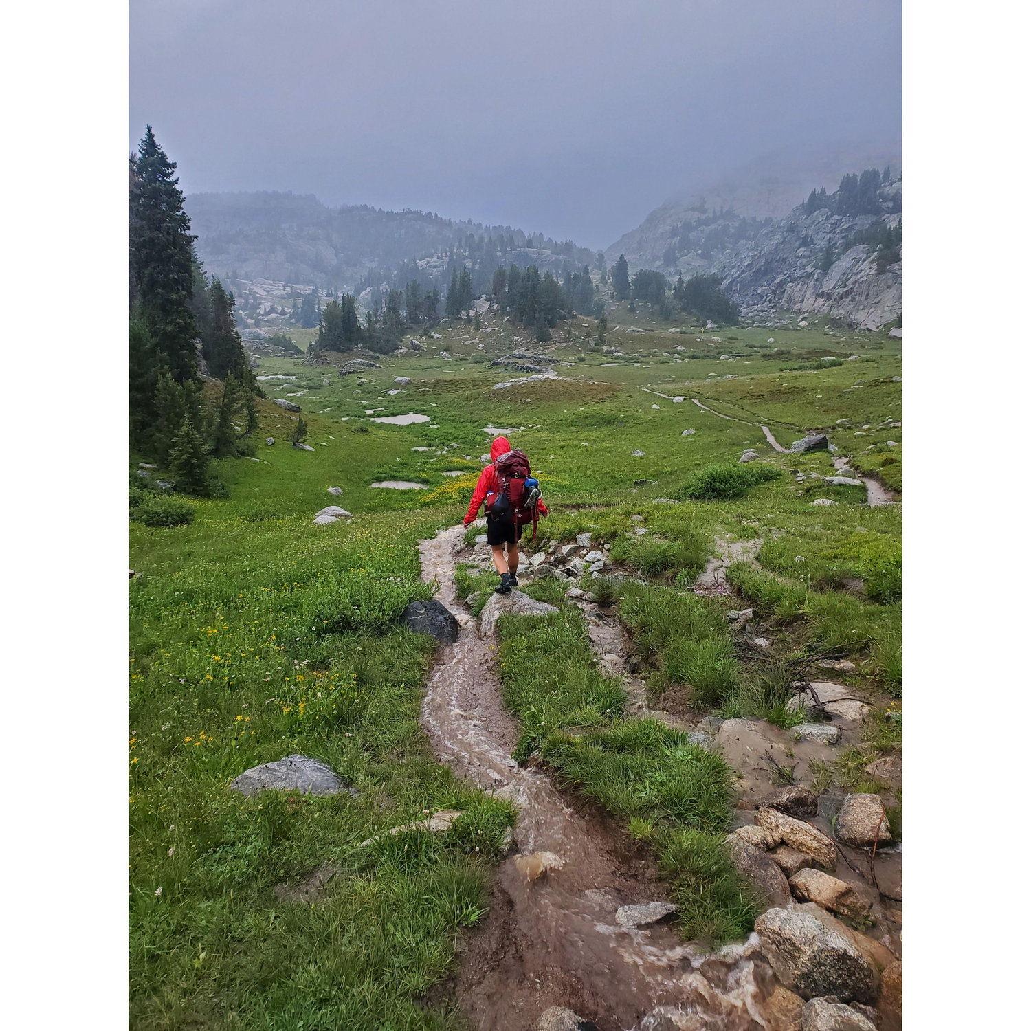 Dragged Cody on his first backpacking trip and it rained for 24 hours straight.