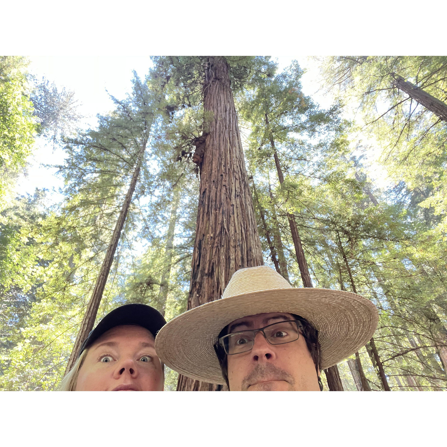 Armstrong Woods - our third anniversary and started the trend of visiting parks each year!