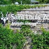 Saint Louis Zoo