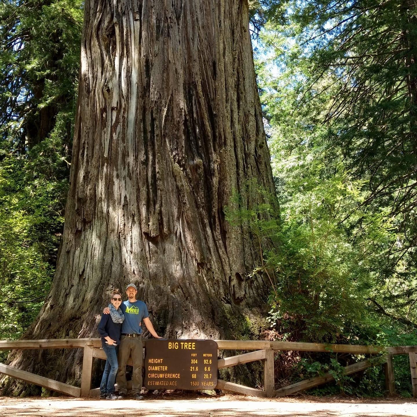 We took a record breaking road trip to see a big tree. California was incredible!