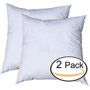 Euro Pillow Insert Set of 2, White
