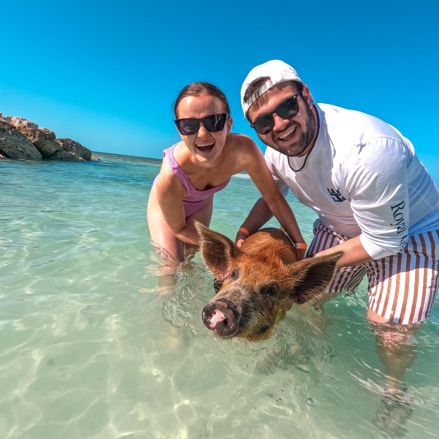 Swimming with pigs in the Bahamas.