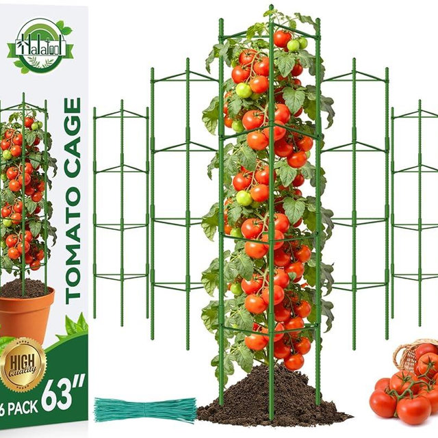 Halatool 63 Inch Tall Tomato Cages for Garden, 6 Pack Adjustable Tomato Cage, Garden Stakes Tomato Trellis for Pots, Tomato Plant Support for Raised Garden Bed &Vegetables Flowers