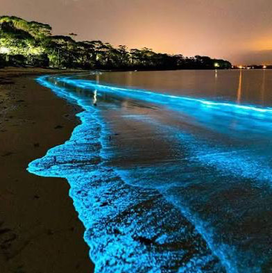 Luminous Lagoon