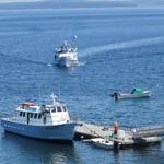 Acadian Boat Tours