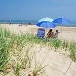 Kohler-Andrae State Park