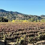 Santa Ynez Valley Wine Country