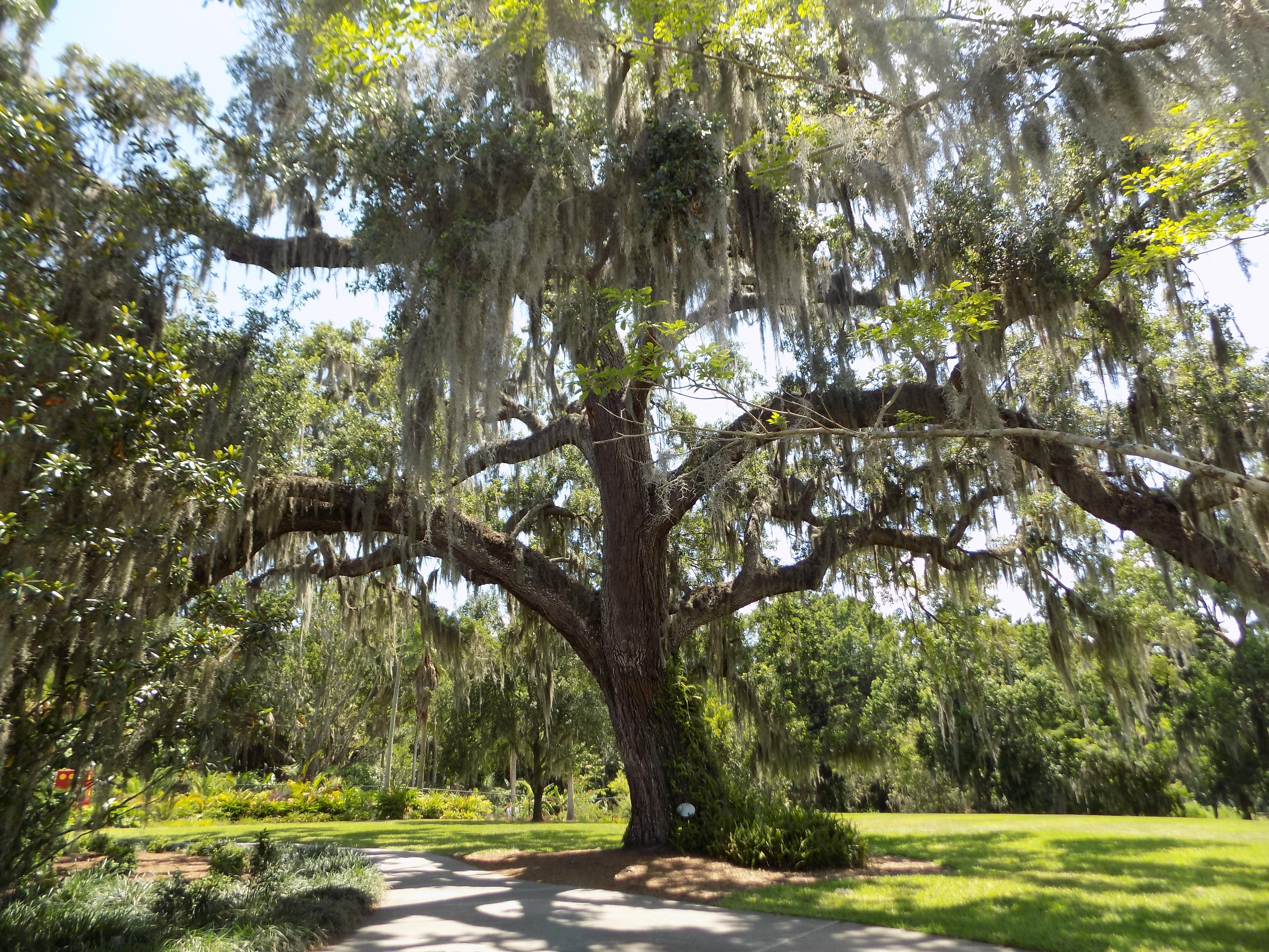 The Wedding Website of Brittany Harper and Arick Pineda