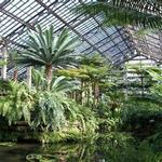 Garfield Park Conservatory
