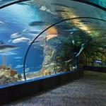 Omaha's Henry Doorly Zoo and Aquarium
