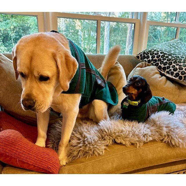 Jimmy Dean really looks up to his big brother Riley!