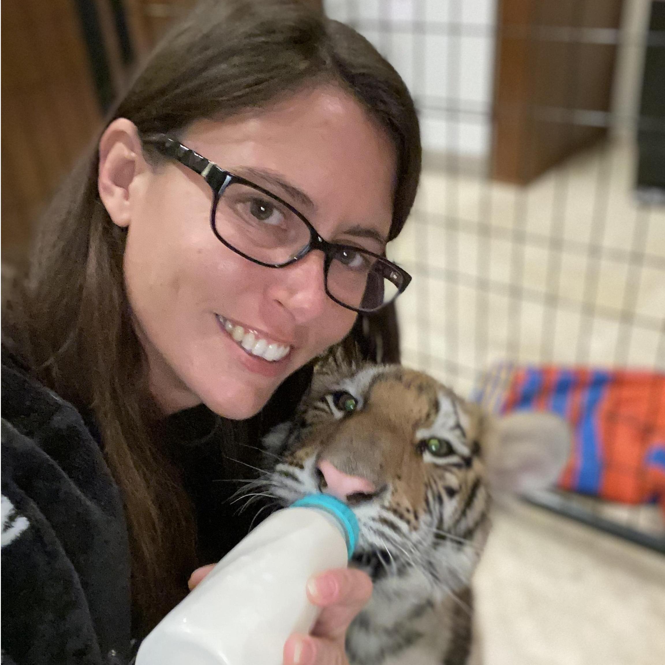 The time we had tiger cubs living in the house.