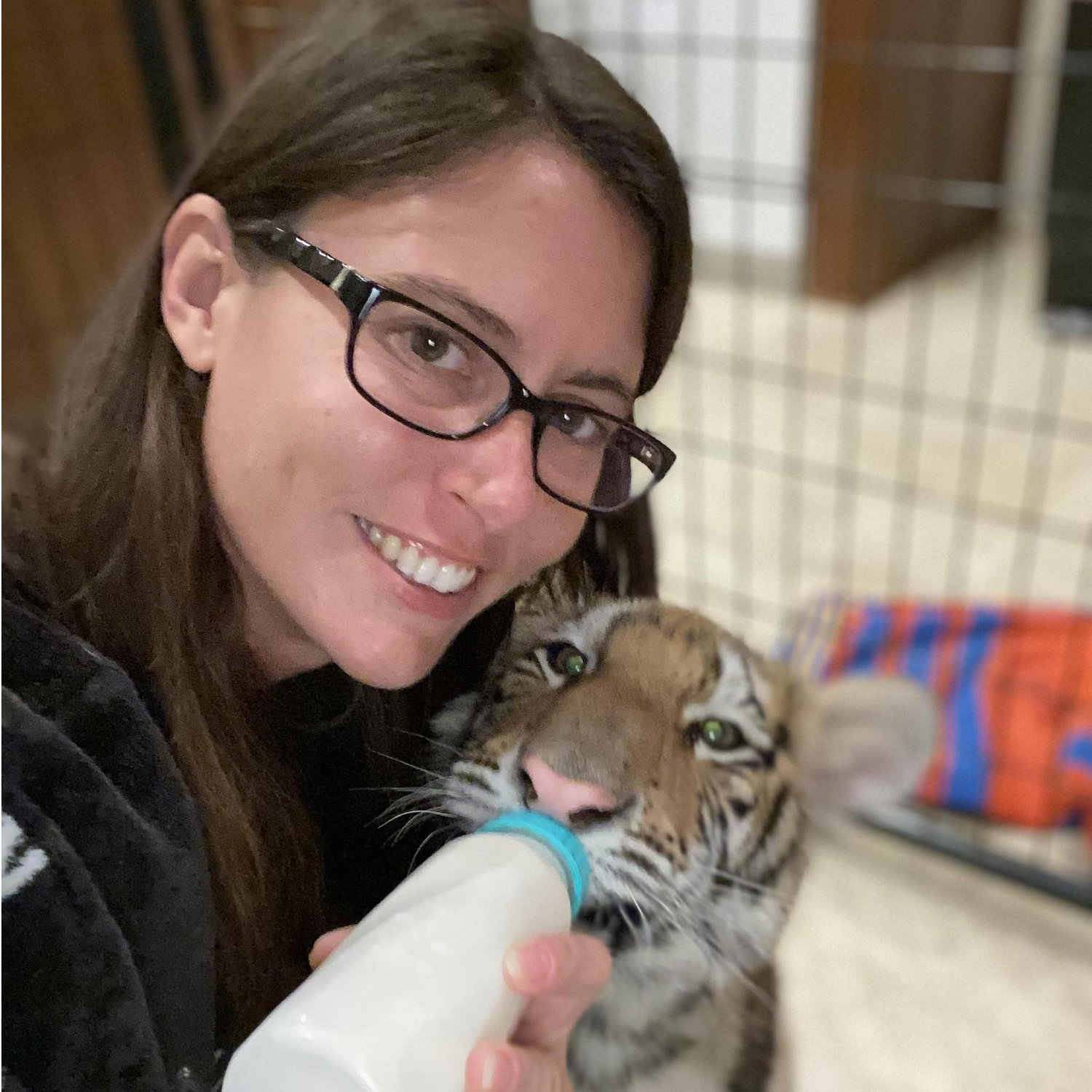 The time we had tiger cubs living in the house.