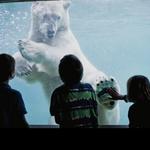 Point Defiance Zoo & Aquarium-Tacoma