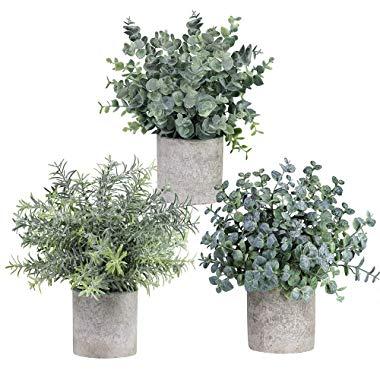 Winlyn Set of 3 Mini Potted Artificial Eucalyptus Plants Plastic Fake Green Rosemary Plant for Home Decor Office Desk Shower Room Decoration