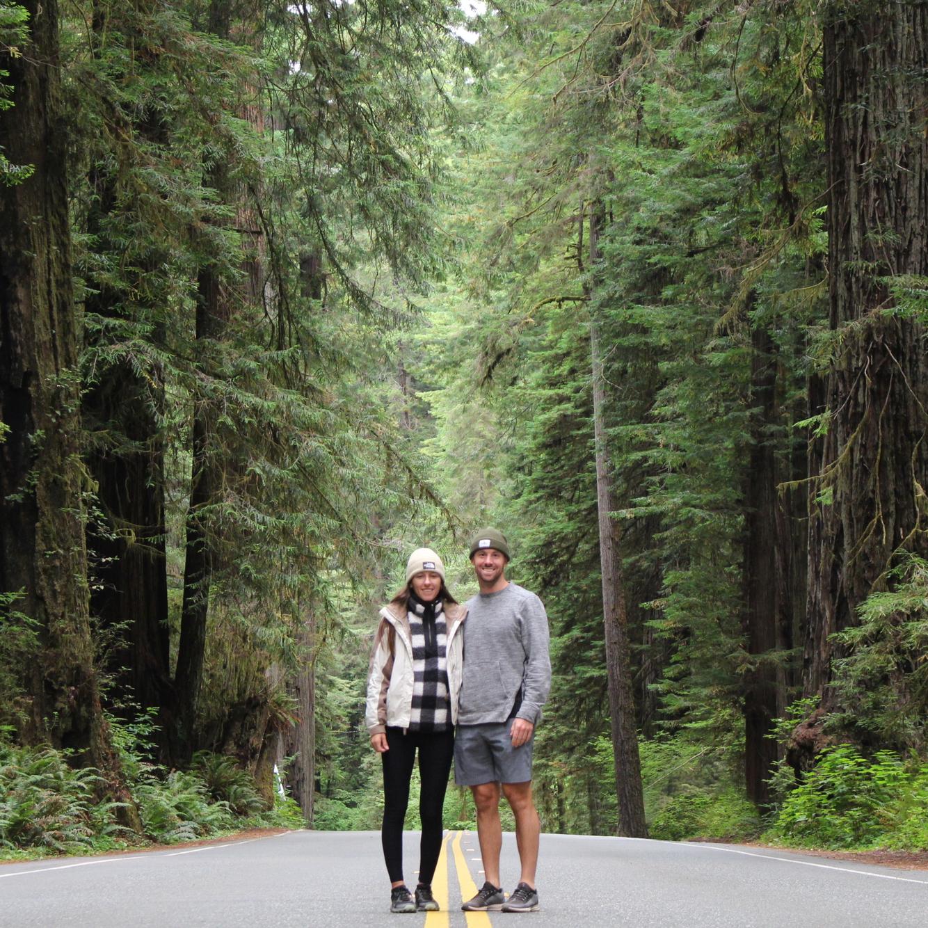 Redwoods National Park!