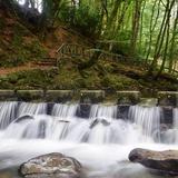 Tollymore Forest Park