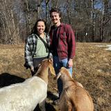 Hoof It Goat Treks