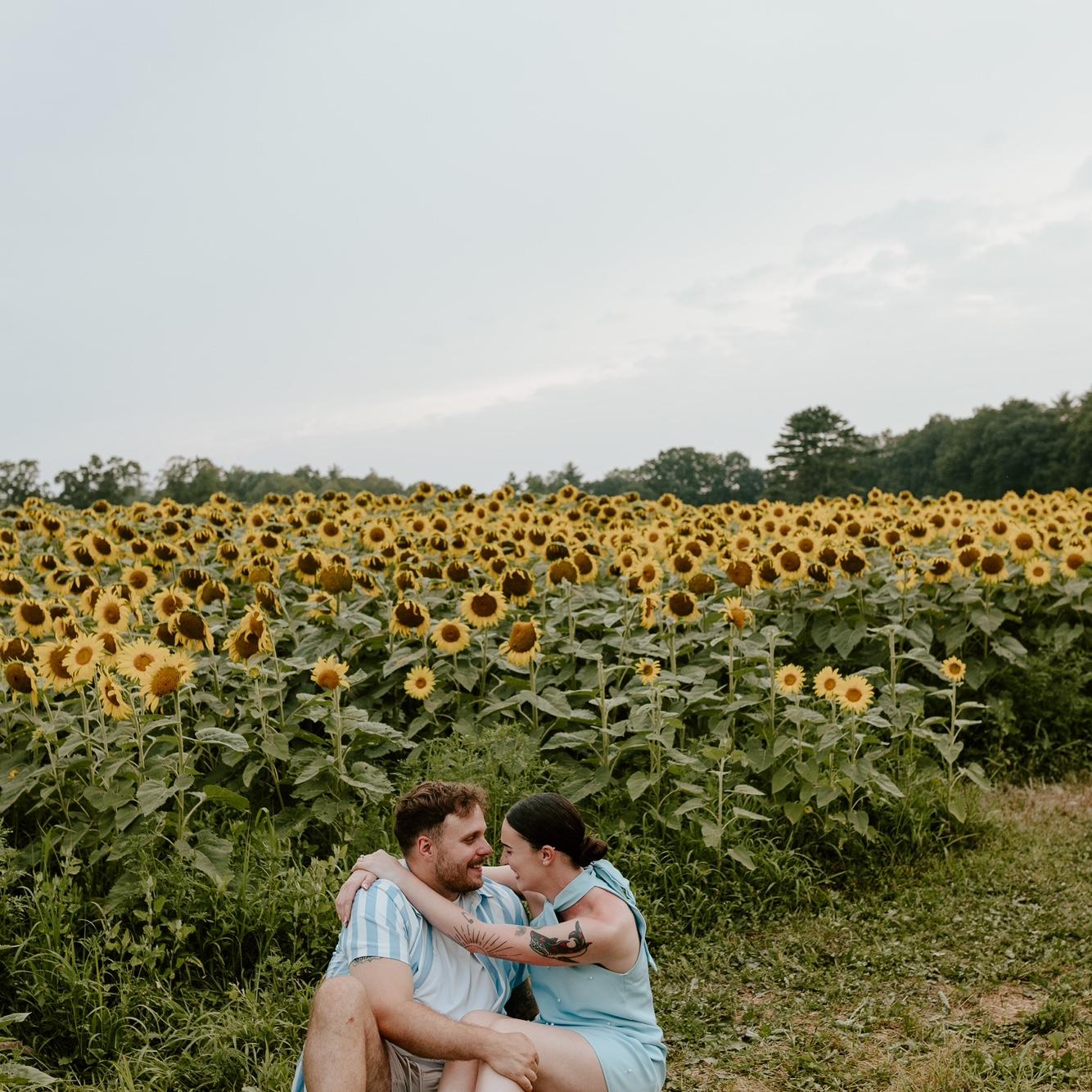 We had our engagement pictures done in my favorite place, Coppal House Farm during the sunflower festival on July 28th!