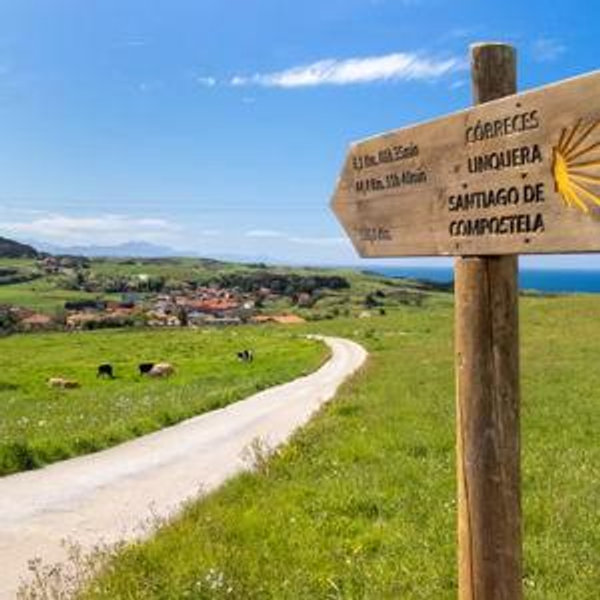 Honeymoon (hiking El Camino de Santiago!)