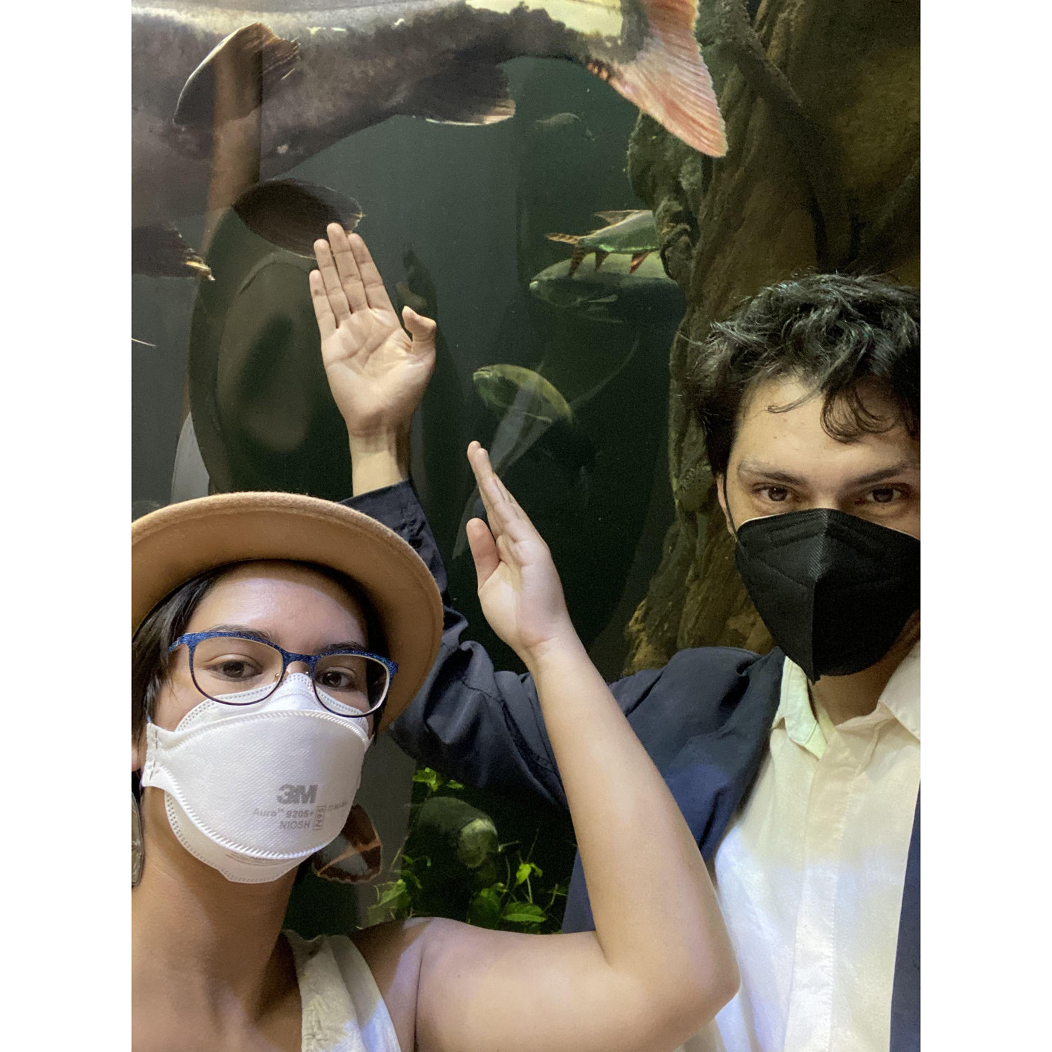 We will not apologize for unsolicited fish knowledge.
