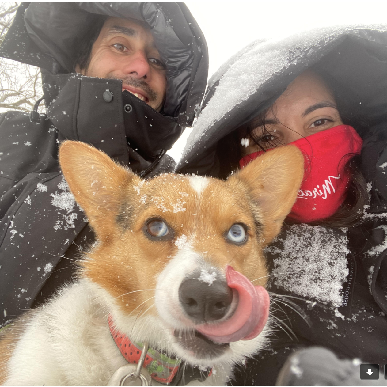 Pumba in the snow :)