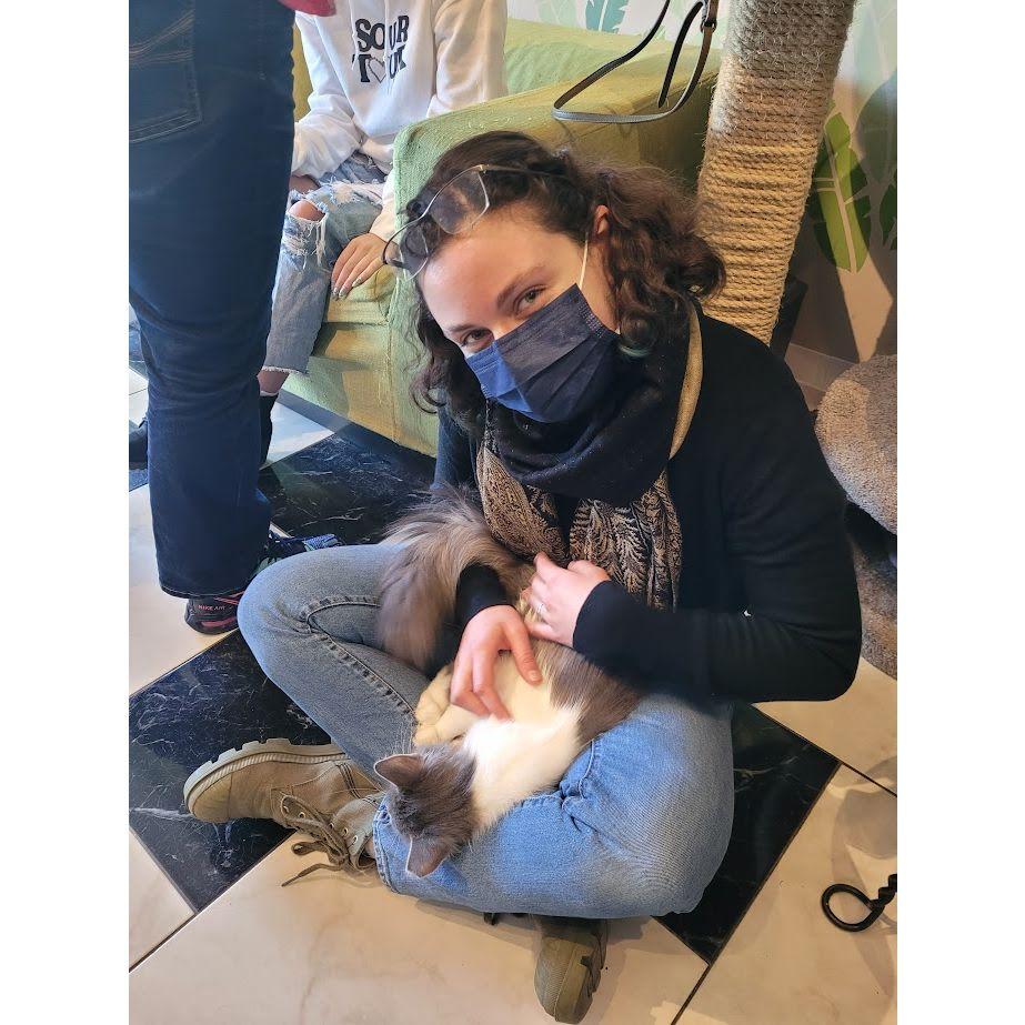 Cat Cafe! In MN visiting Pippin & Annette