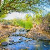 Riparian Preserve at Water Ranch