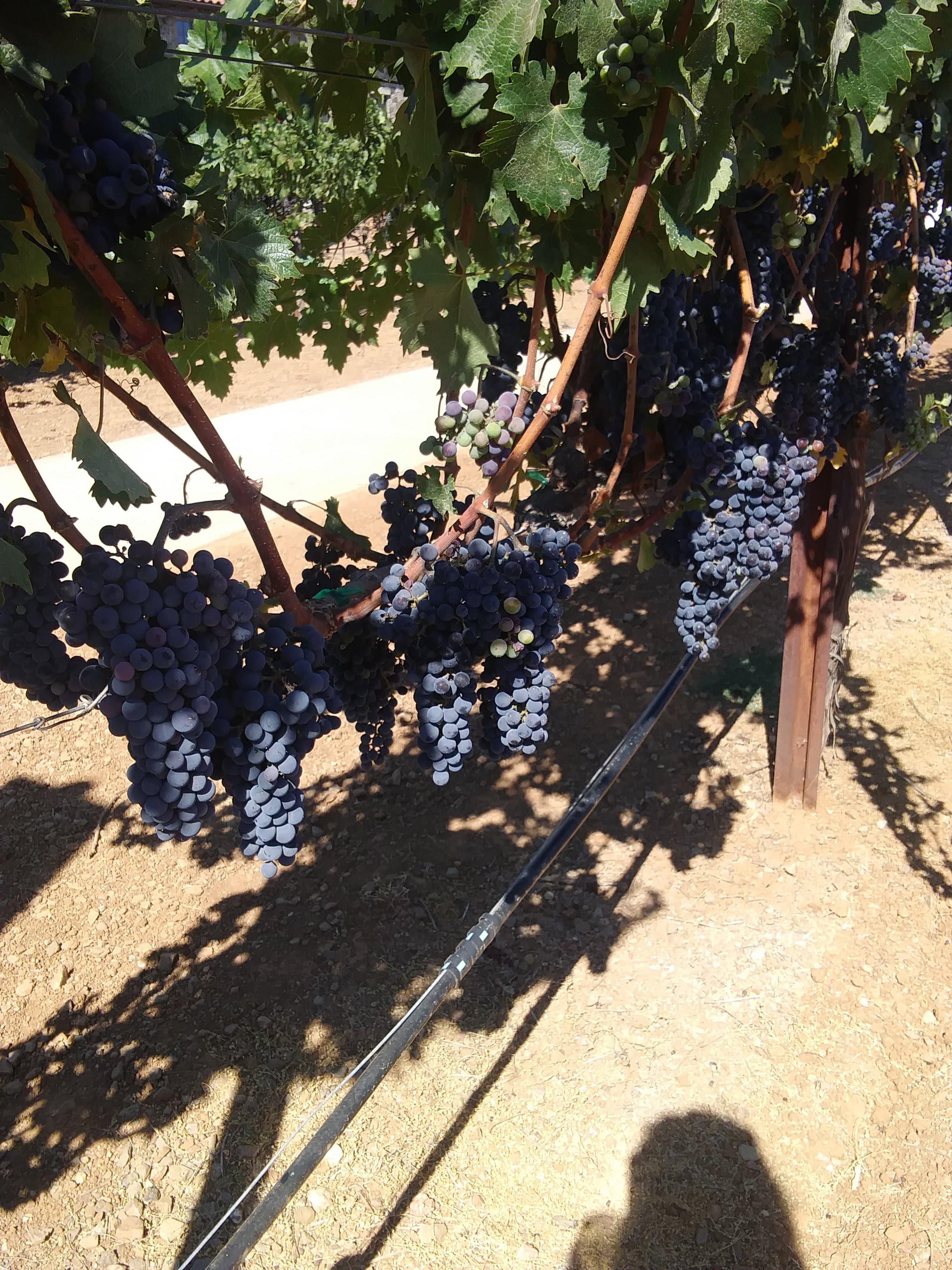 The Wedding Website of Matt Breneman and Katie Mageeney