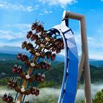 Dollywood
