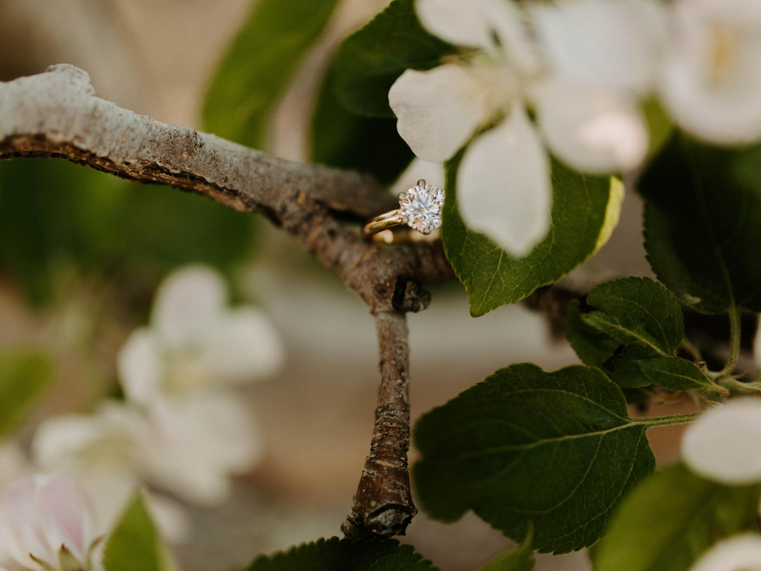 The Wedding Website of Dayton Bourassa and Maddison Kadnar