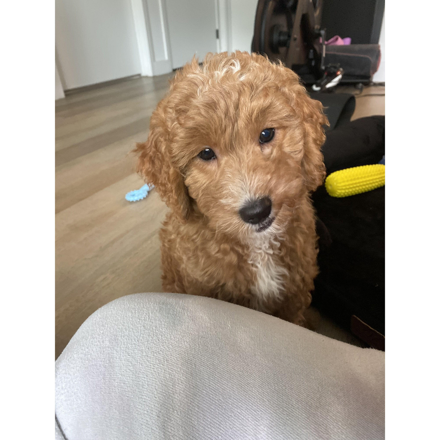Baby Beau