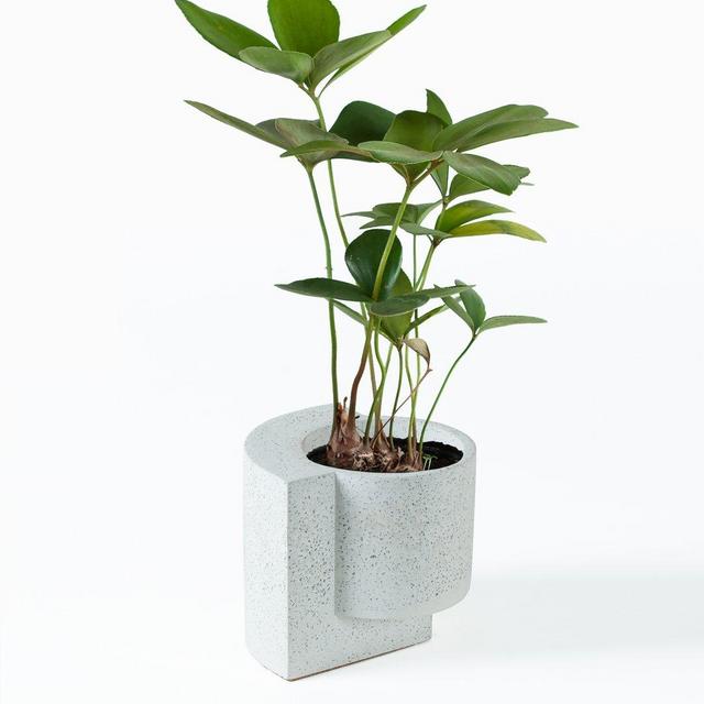 Platform Planter Small White